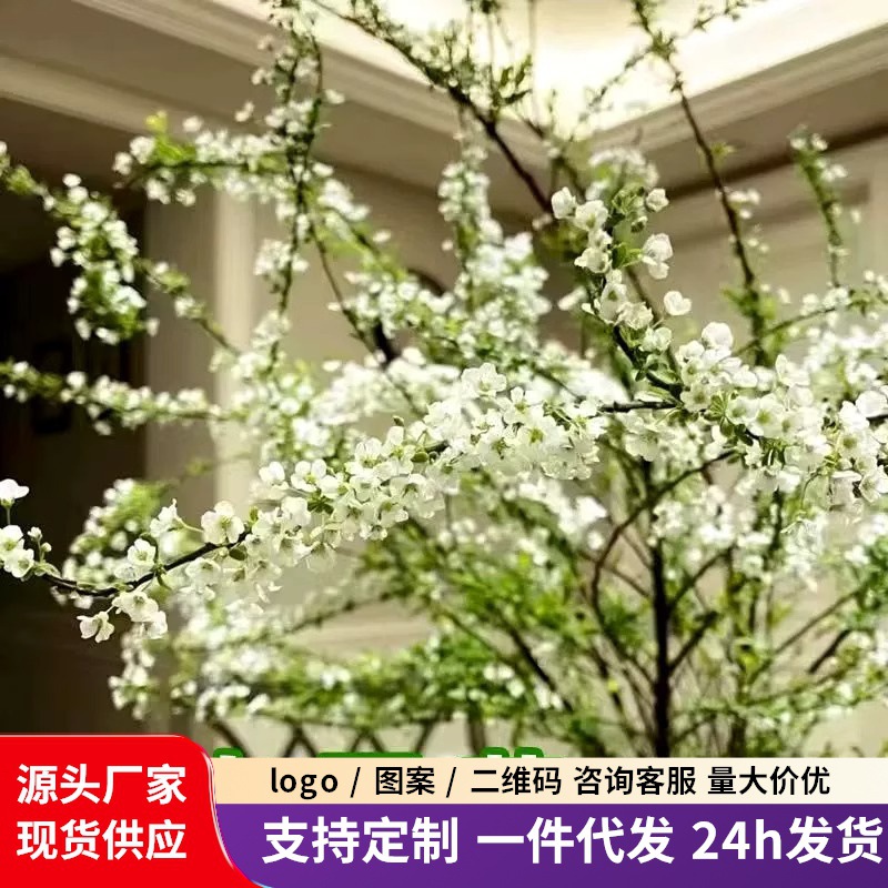 雪柳干枝花卉水培耐寒水养泡水盆栽绿植花卉遇水开花清香插花植物