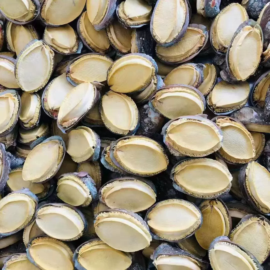 源头工厂现货FD冻干鲍鱼礼盒用直播电商代发带壳鲍鱼干货批发