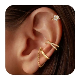 耳环;耳钉;项链