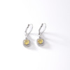 Zirconium, earrings, fashionable advanced accessory, light luxury style, high-quality style, bright catchy style, wholesale