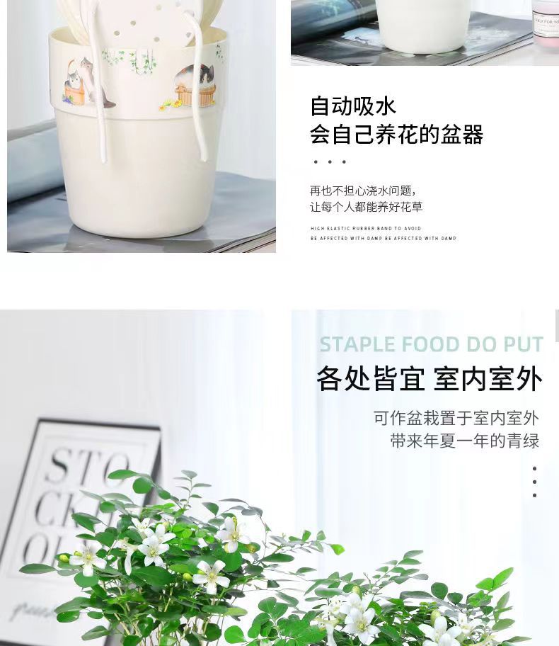 微信图片_20230318080446