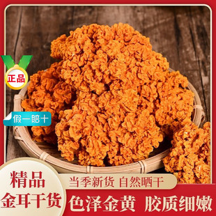 �������؛ܛŴ�ڸи�؛��Ʒ�|�I�B��Ϯ�����؛