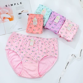 女士三角裤;女士大码内裤;男士平角裤