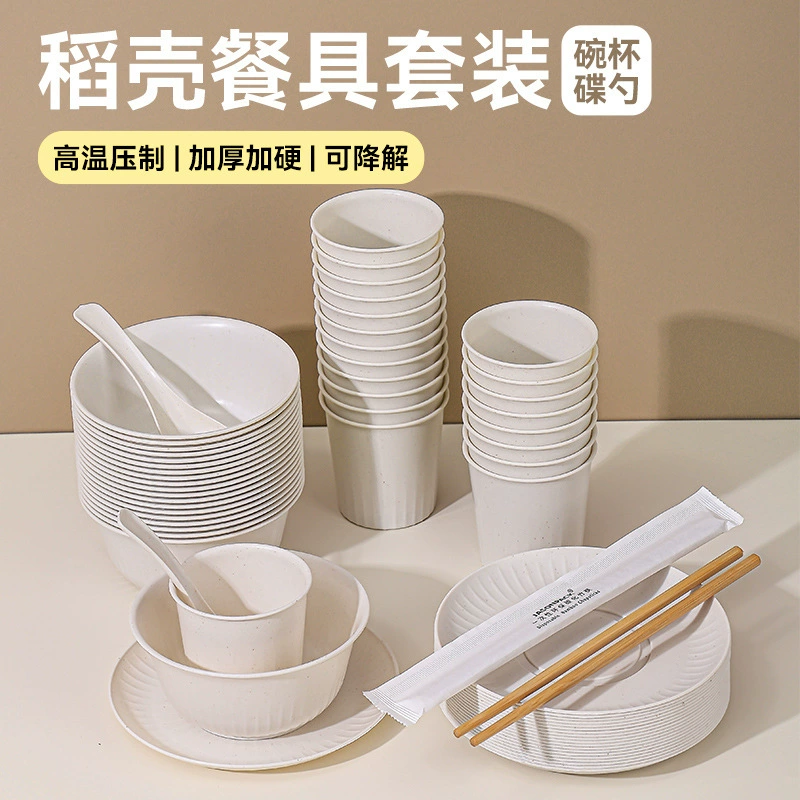 Disposable tableware, set, dinner plate for home use, 6 pieces