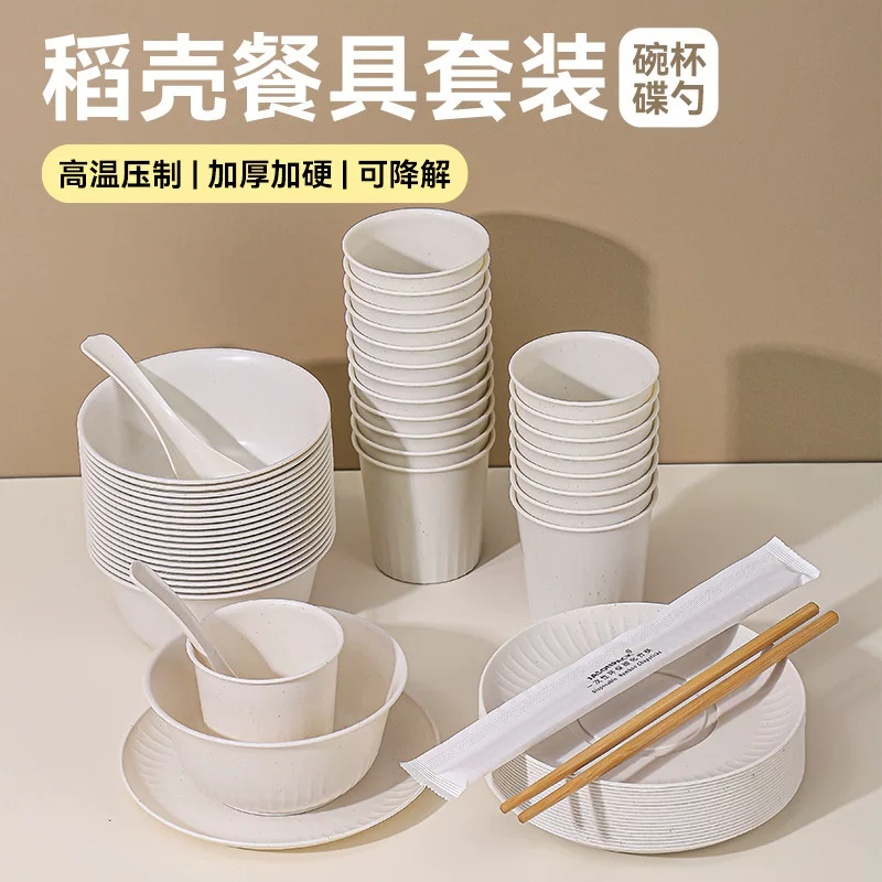 Disposable tableware, set, dinner plate for home use, 6 pieces