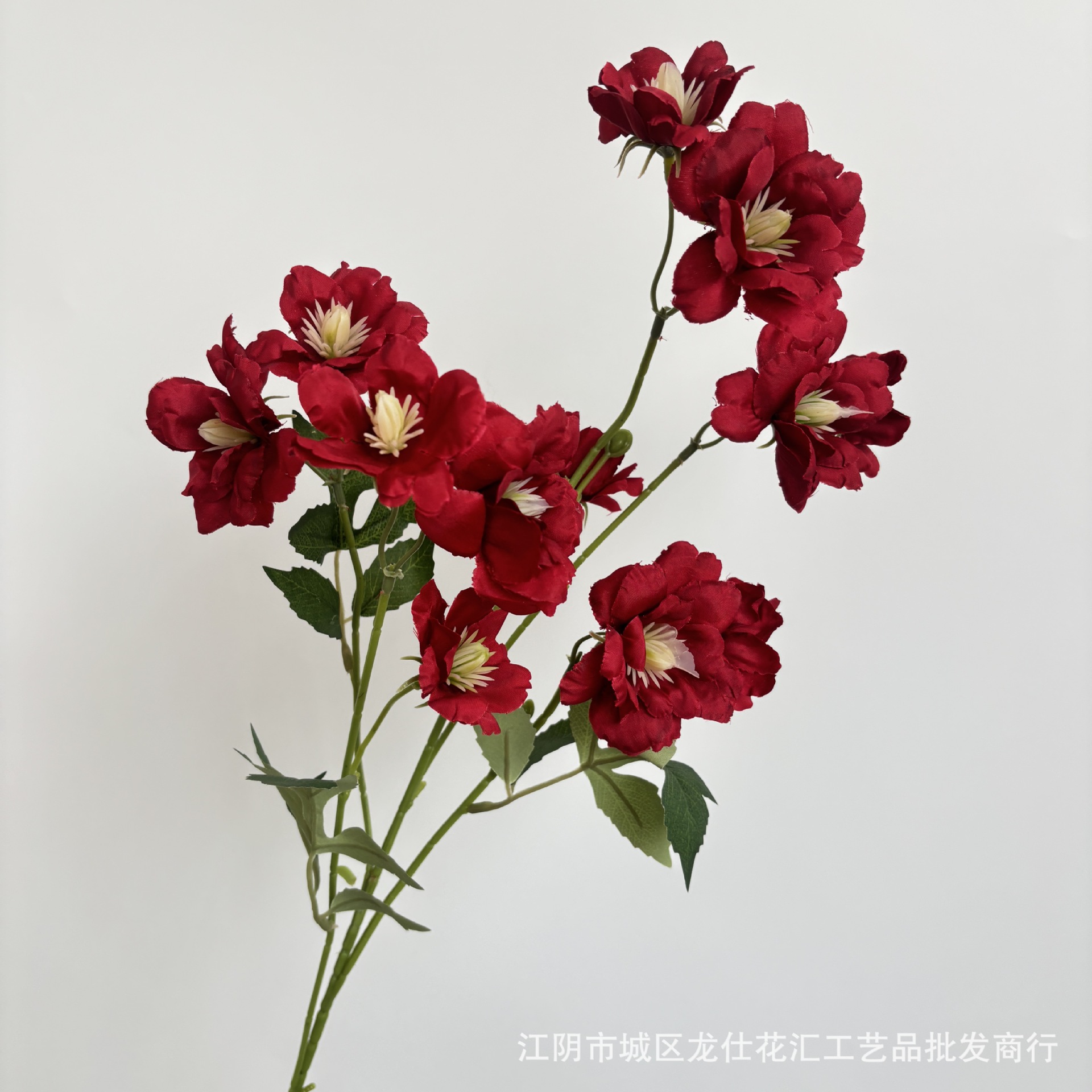 히비스커스 꽃 12개