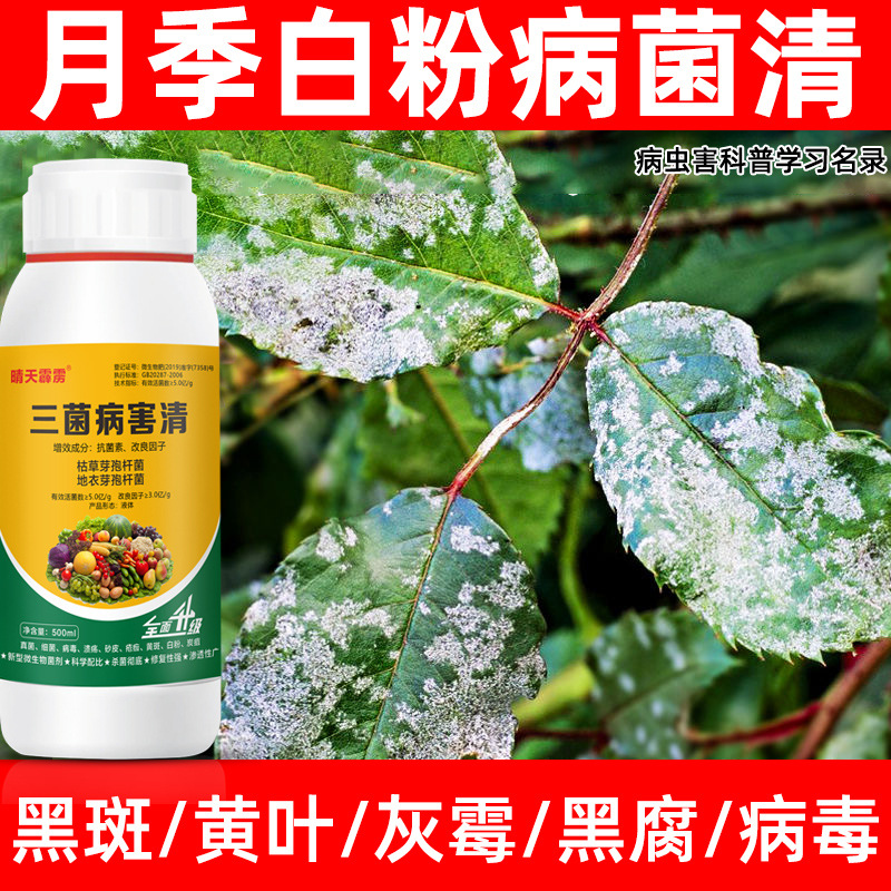 月季病菌清花卉植物黑斑病黄叶蕉叶白粉病杀菌剂病虫害常用药喷雾