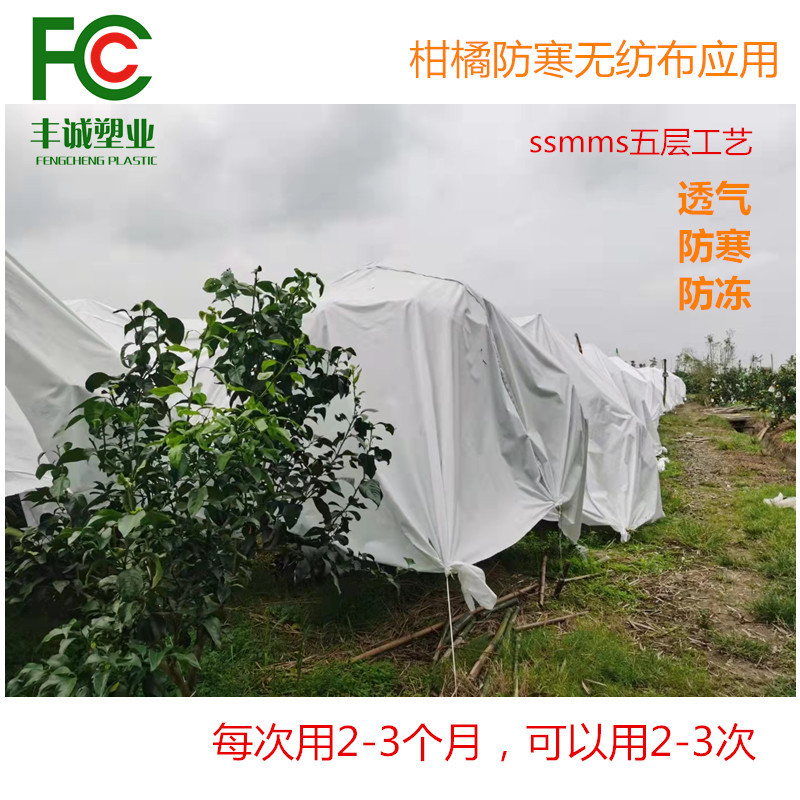 供应果树防寒保暖无纺布柑橘蜜桔防寒布透光透气防水3.2*100