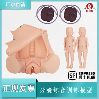 高级分娩综合技能训练模型孕妇顺产分娩示教模型分娩机制模型