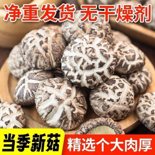 �������ؼ��ľ�㹽С����Ģ�������خa�󻨹�������ζ�깝