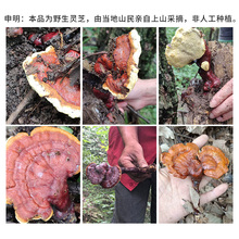 Ұ`֥ rȻ `֥Ƭ`֥Ƭݾ`֥