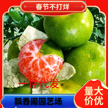 һ�����l��Ƥ���ٹ�����޽��������������̨ͥԺ�o�ѽ����ɳ