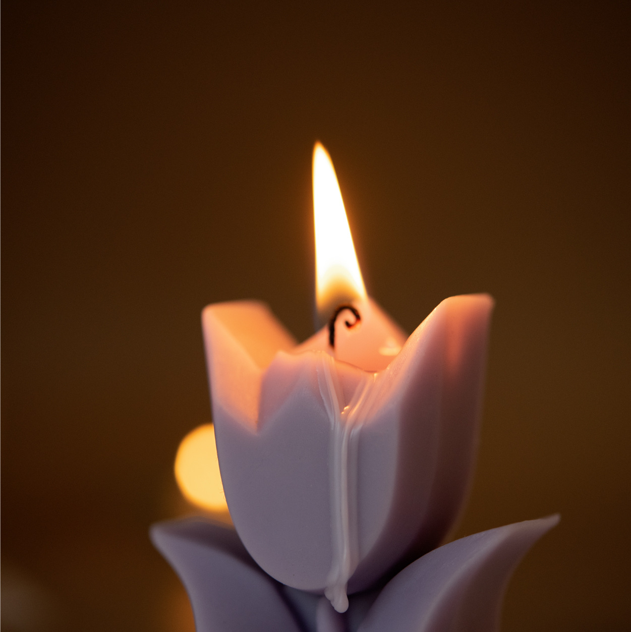 Corea del Sur ins popular en forma de tulipán aromaterapia vela regalo para niños rojo, blanco, púrpura y verde beige