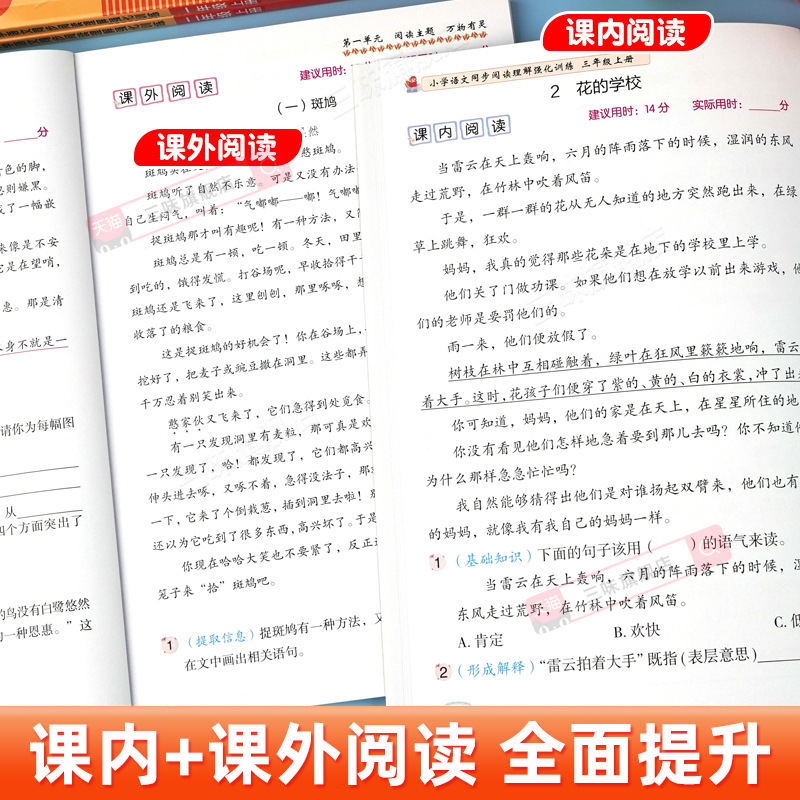 2025阅读理解专项训练书配套人教版一年级二年级三四五六年级上册|undefined