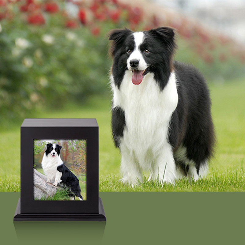 Transfronterizo en stock Cenizas negro base de madera maciza mascota memorial cinerario ataúd con marco de fotos perro funeral de madera maciza