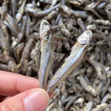 ����S���]�������|ɽ�u�خa�����~�ɽ�ëë�~��؛С�~�Pβ�~