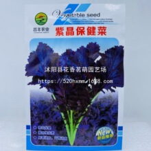 �Ͼ������˷N���~����ɫ��˷N�����~ѩ��ޮ�N�Ӵ���Nֲ