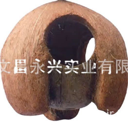 Хомяк дом для отдыха с кокосовой скорлупой гнездо золотого медведя