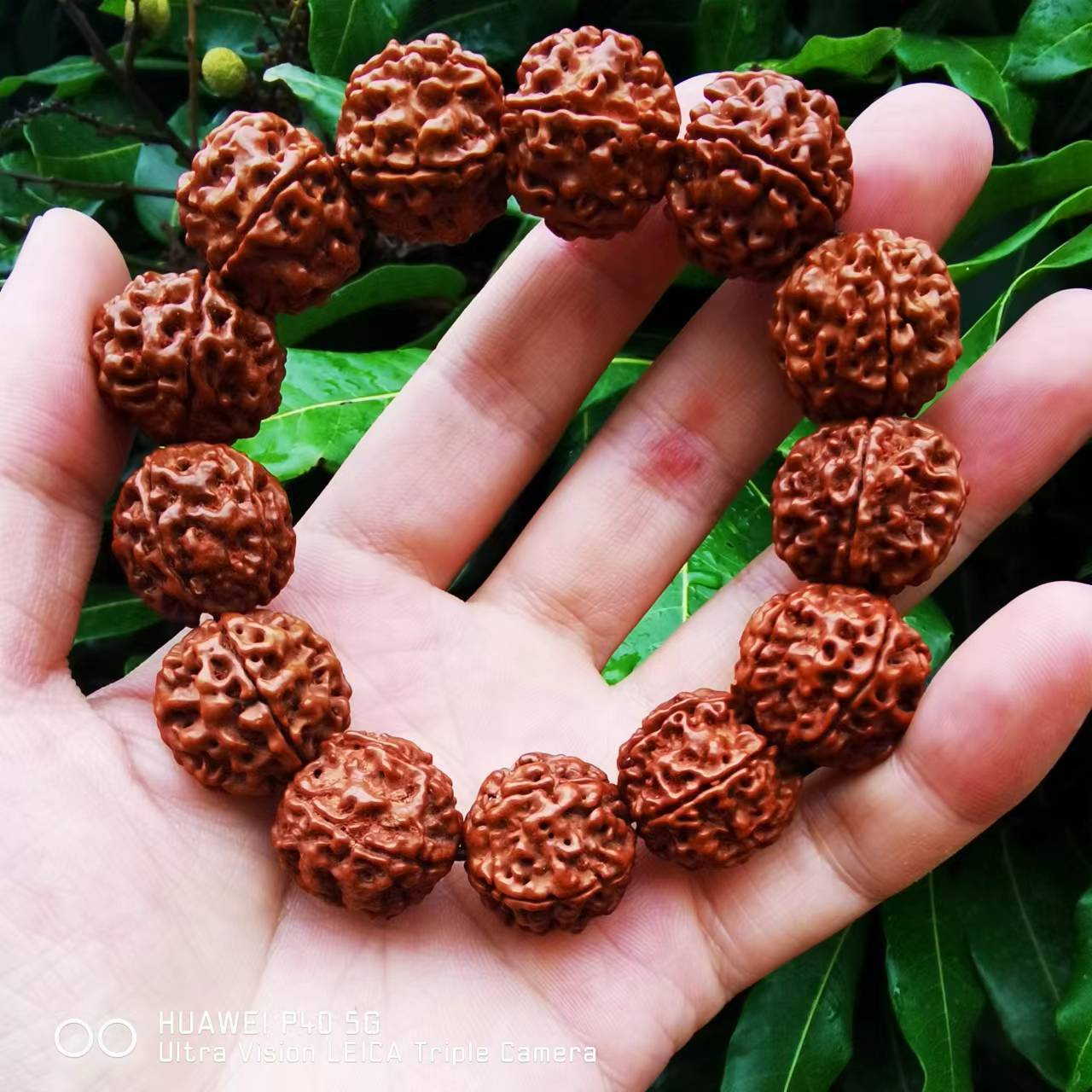 1ae18c124b76fbd4795dccab81cfc6