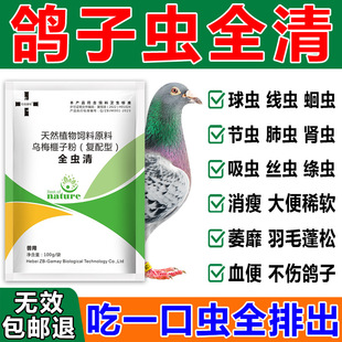 �����w������xș�������xș���x���xë���x���ô��xșȫ�x����ș