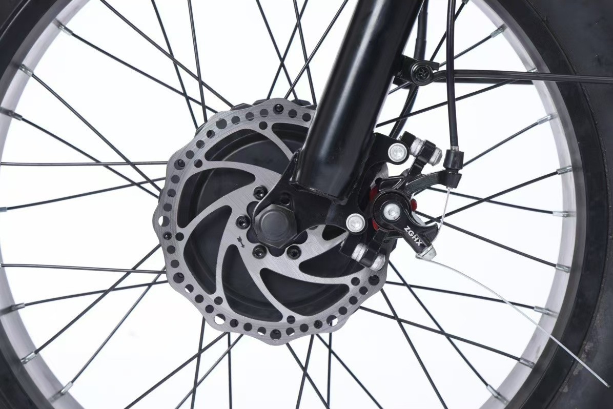20-inch Fat Tire Snow Electric Tricycle Bicycle Lithium Battery