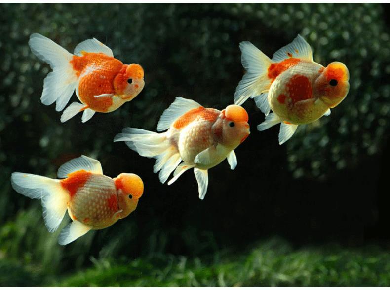 4f4858e6-9ae3-4145-ac94-a3fd3f4ccd1f.jpe