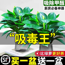 ���Iһ�l�������~��荾G�������Ԙ����҃ȑ��˺��Bˮ�໨�ܾG���l