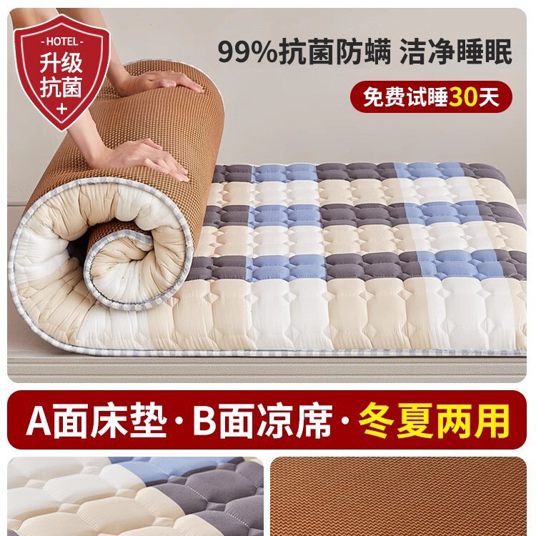 地铺睡垫家用床垫软垫防潮地垫打地铺神器租房专用垫学生宿舍单人|undefined