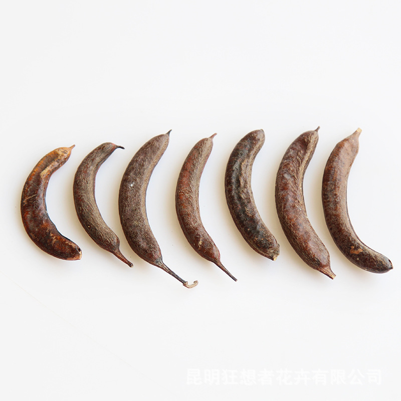 Xà phòng răng lợn [10 miếng trong túi]