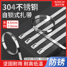 304PSl4.6*250iʽ͸ߜؿ