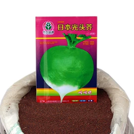 蔬菜种子;其他农业
