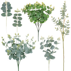 跨境北歐風仿真尤加利葉家居客廳裝飾排草婚慶歐式場景布置金錢葉