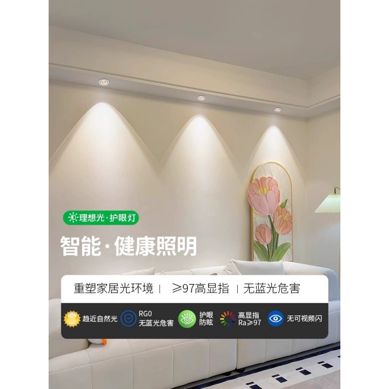 Rainbow lights, spot lighting, LED ceiling light, lamp to create double eyelids for living room, comfortable light spectrum