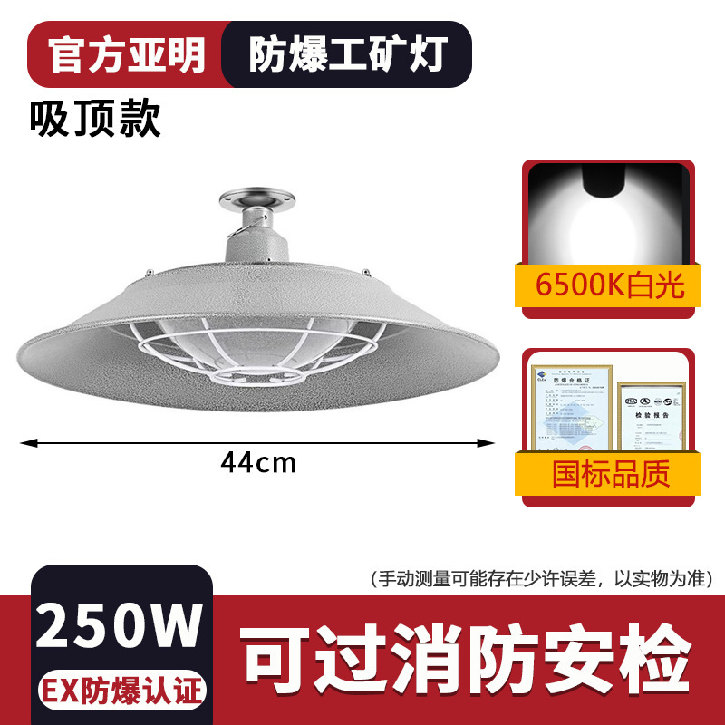 Project price -250W-explosion-proof industrial miner's lamp-ceiling price