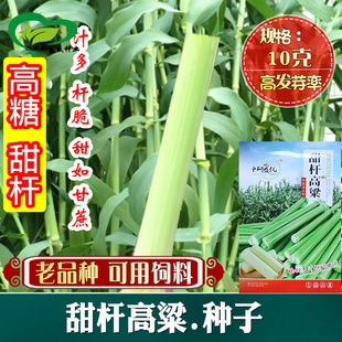 ������U������ ����� �J�� ������ �Ǹ����N�� �����֭�ļ���