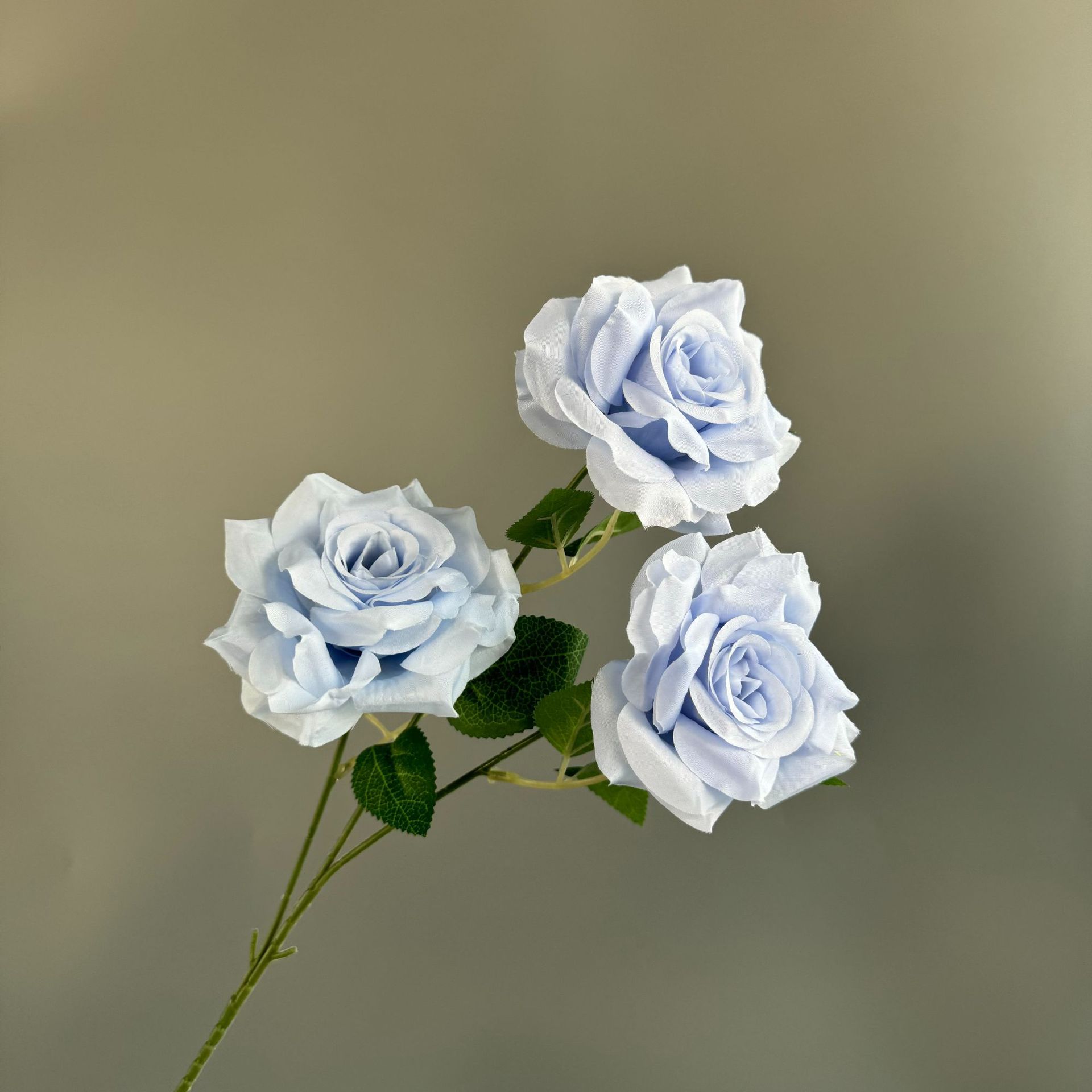 하늘색(잎 없음)