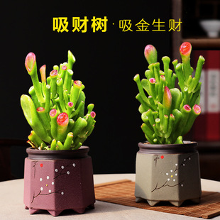 ��ؔ���Ϙ�����ֲ����Ժö��������҃�ϲ�ֲ���ļ����B�Gֲ