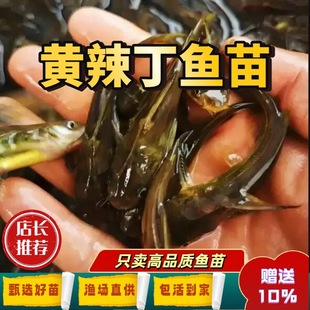 �����S��S���~�絭�S��~�����~�S�����r���SѾ�^�S���и������~