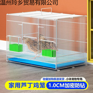 �u�\���ô�̖�Bֳ�\�p�g���������r�u�g�����ӵȌ����ۯB���ٻ\��