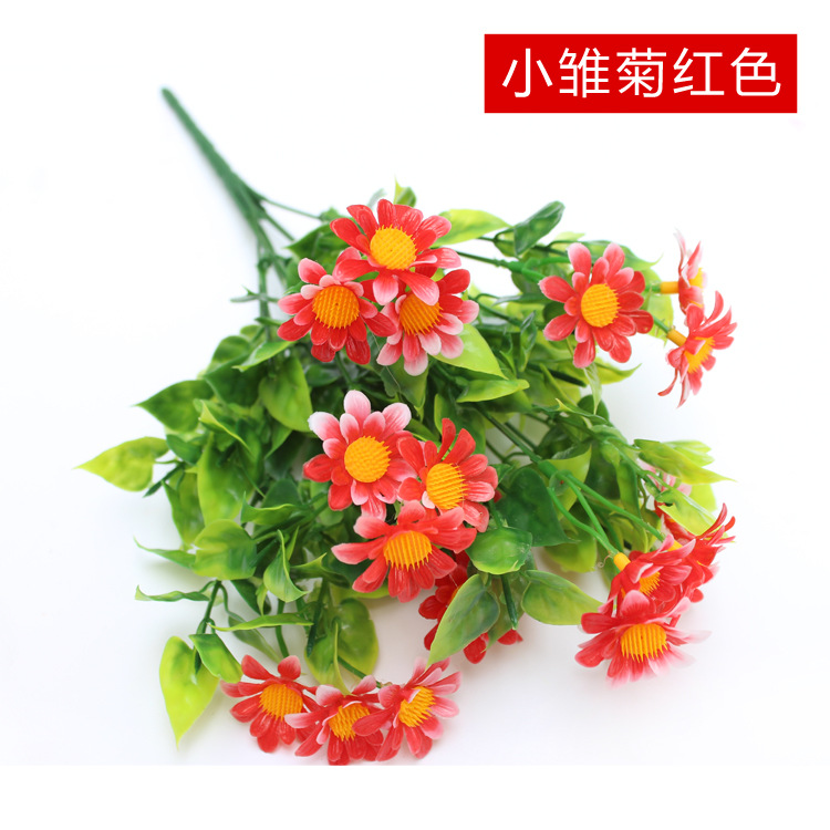 Flor roja de la margarita