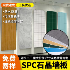Spc模造磁器石晶壁板ホテルトイレ快装石塑性壁板シャワールーム防水微晶石板