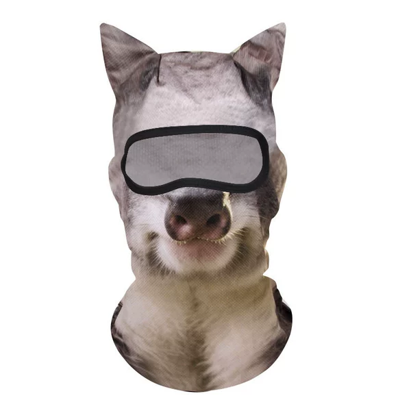 M2501-Koala