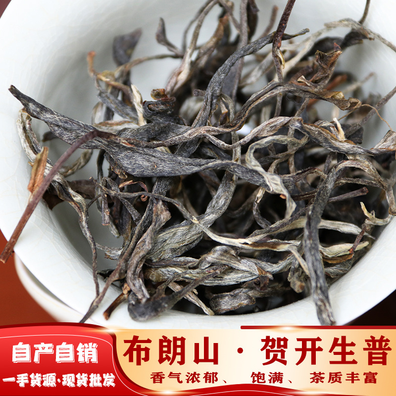 批发布朗山贺开古树普洱茶2022头春一手货源云南勐海古树生普散茶