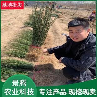 ���l���٘��� �����F؛ �ֶ�0.4���� �޽ӽ������ ���٘���