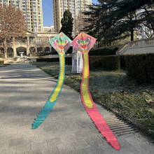 2025�¿��ߌ�ؐ�L�~��ͨ�����OӋ���w�m�ϑ�����ˣ�к�Ů��