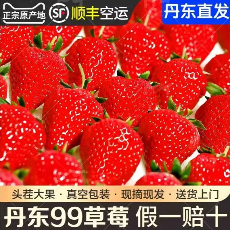 Selected Fresh Large Strawberries, Dandong 99 Milk Strawberries, Fresh 99 Red Strawberries, Hand-Picked and Shipped by Sf Express