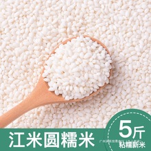 Ŵ2024ז|峣r҈AŴװ׾ưŴ5