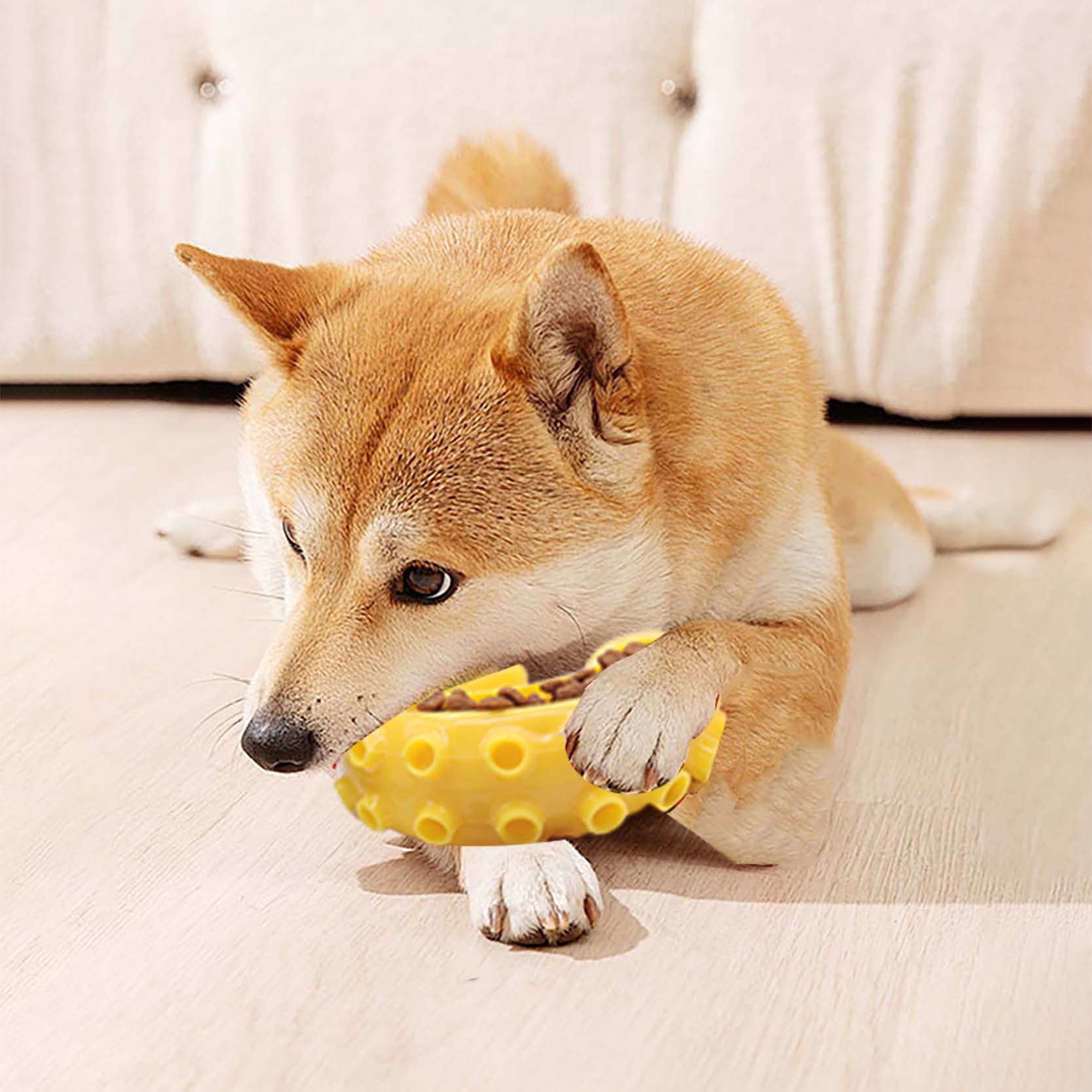 Juguetes molares transfronterizos para mascotas