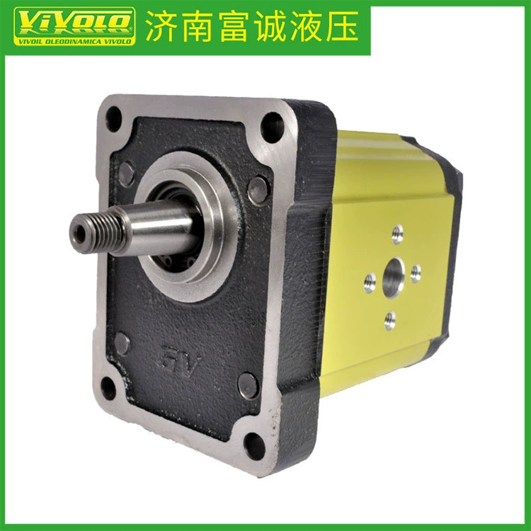 Итальянский чугунный насос VIVOLO GV2P-D/C G2P5901EQPA гидравлический масляный насос высокого давления VIVOIL Hui поставка
