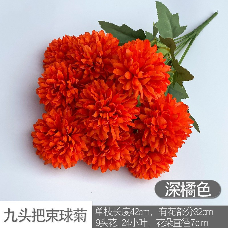 Nine -headed ball chrysanthemum dark orange